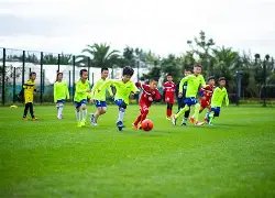 港超聯,大埔敗北杰,港將後備,HuoHu,火狐,火狐体育入口,火狐官网,火狐体育APP下载